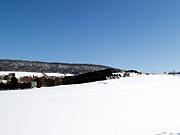 田舎町の雪景色