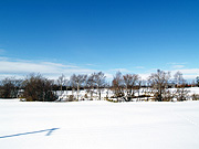 田舎町の雪景色